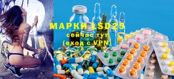 PSILOCYBIN Покров